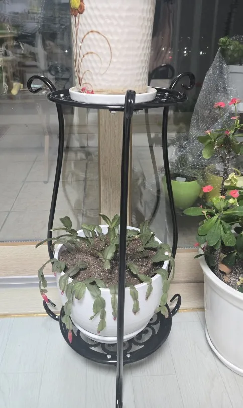 1 Pack, Elegant Double-Layered Metal Flower Rack Stand - Multi-Layer Floor Standing Plant Display with Modern European Style for photo review