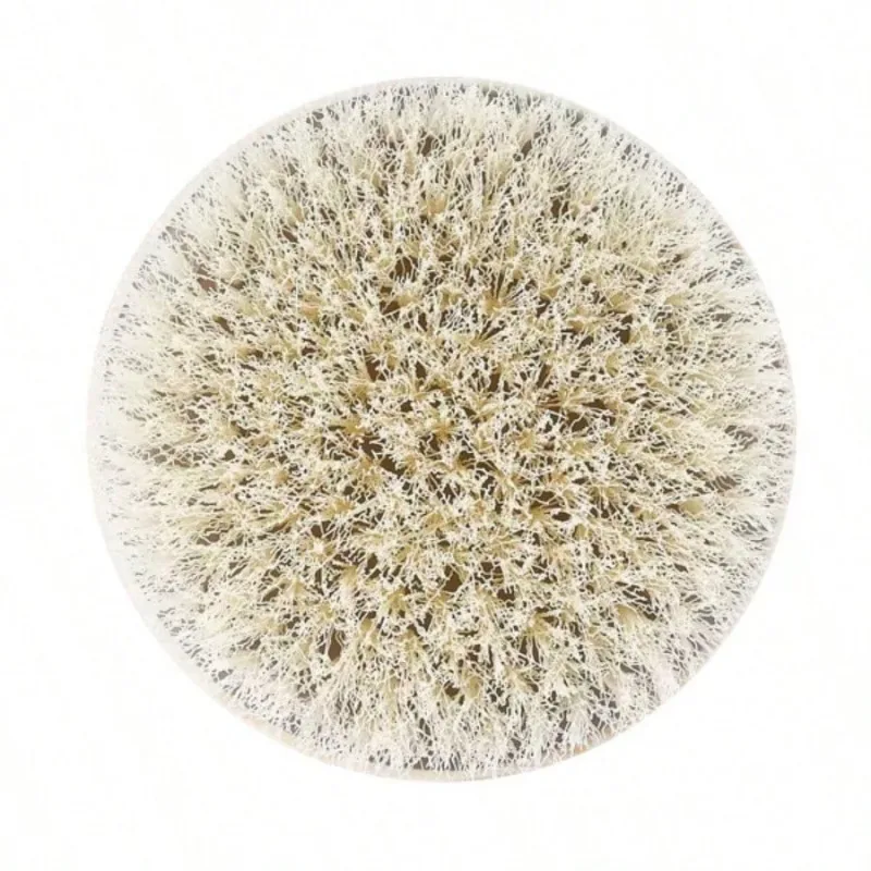 فرشاة الجسم ذات الفرشاة الجافة - رمادي - فرشاة جافة عادية تساعد على إزالة الجفاف للبشرة أكثر متساوية وأكثر إشراقًا