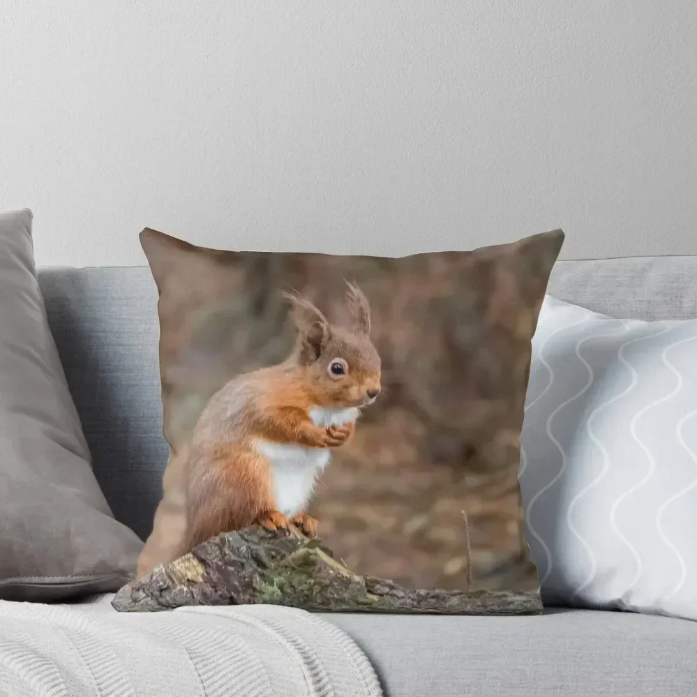 Cute red squirrel Throw Pillow Pillow Decor Christmas Covers Pillow Case