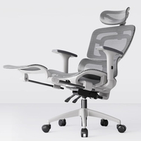 Chair Lightweight Portable Office Computer Desk Gaming Ergonomic Furniture Home Office Comfortable Cadeiras De Escritorio