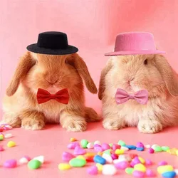 Small Animals Hats for Hamster Rabbit Rat Totoro Chinchilla Ferret Hedgehog Cap Guinea Pig Clothes Bow Tie Funny Pet Accessories