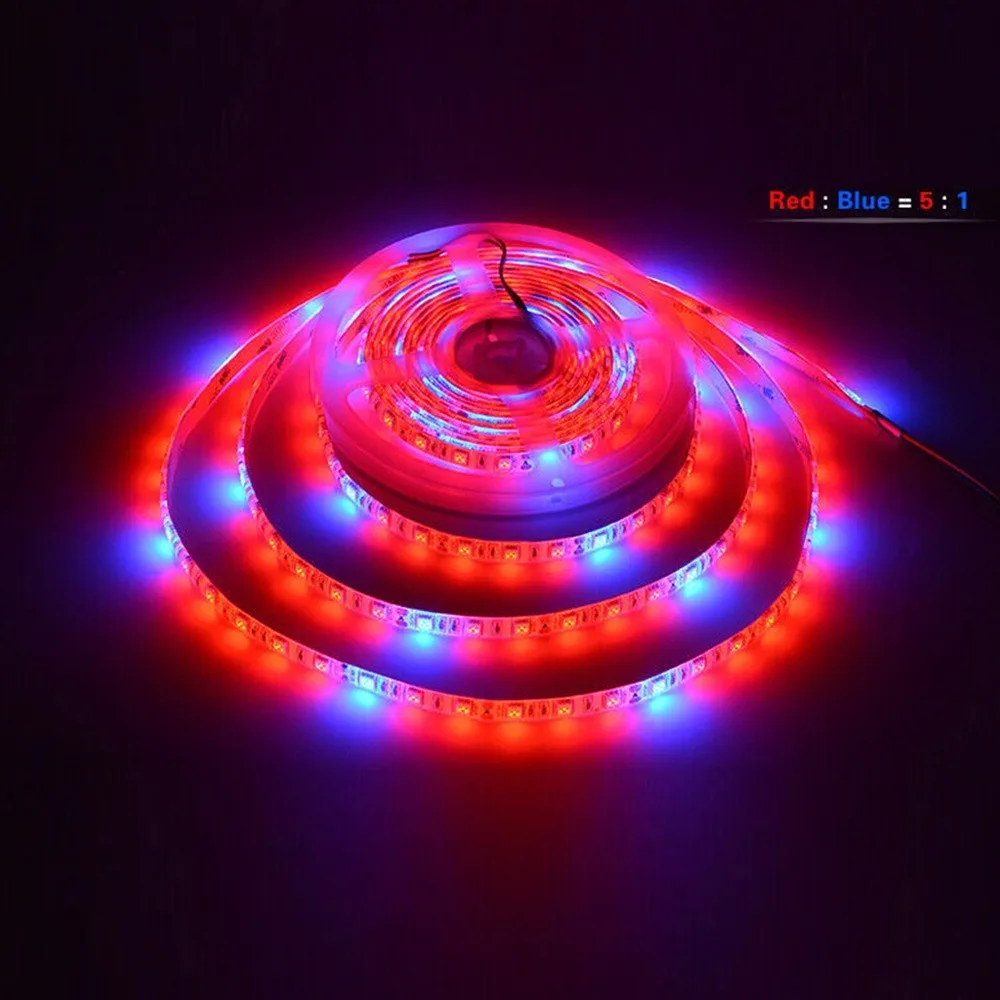 5 M LED Grow Lights 300 LEDs 5:1 Ratio Full Spectrum Phyto Lamps IP65 Waterproof Full Spectrum LED Strip Light Greenhouse