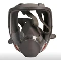 Only Mask Body