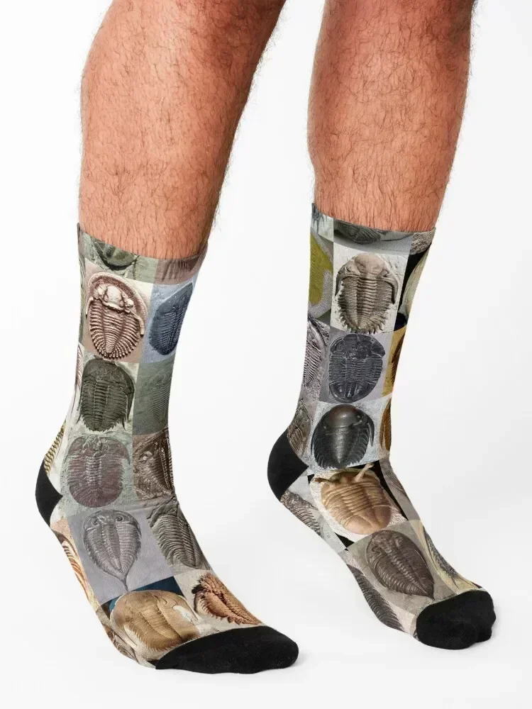 Trilobites Socks funny gift Non-slip Running hockey Socks For Man Women's