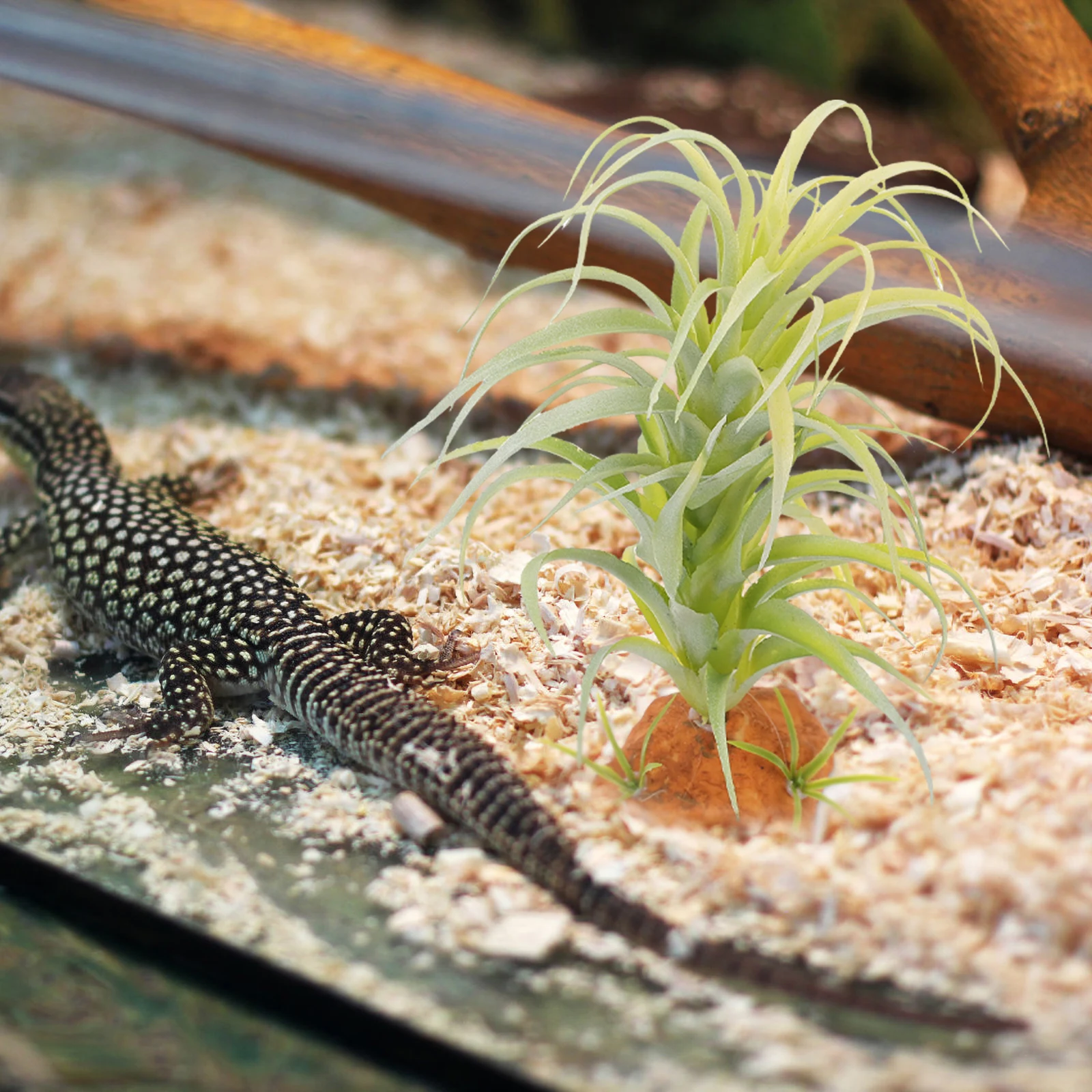 

Artificial Reptile Plants Terrarium Decor for Bearded Dragon Tank Habitat Simulation Plant Ornament Reptile Terrarium Plant