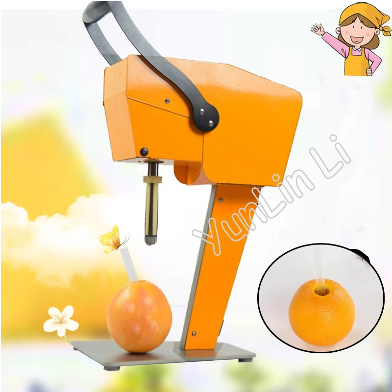 DIY Fresh Fruit Squeezer Pitaya/Orange Fruit Juicer without Peeling 100% Pure Juice Direct Drinking