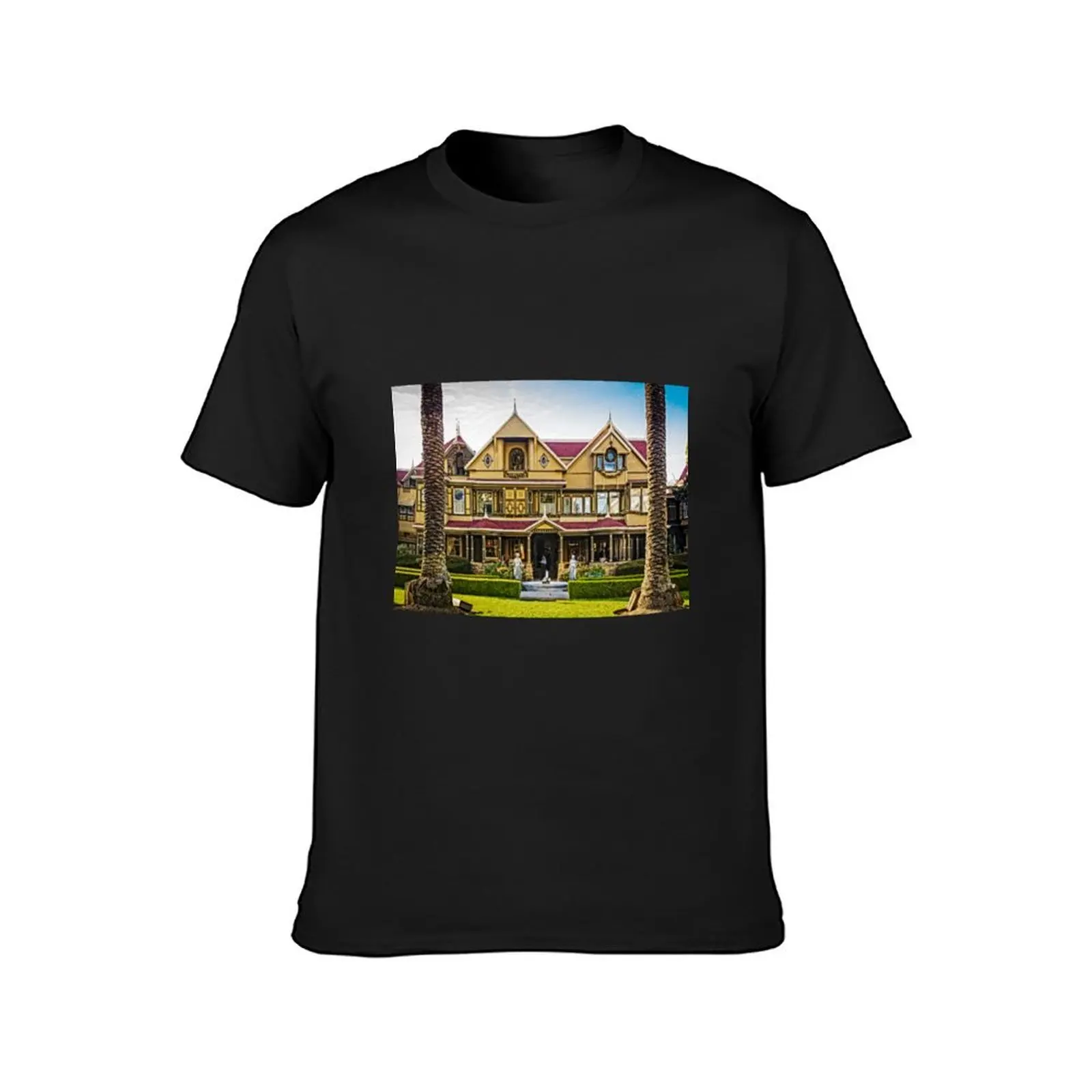 Winchester Mystery House T-Shirt quick drying aesthetic clothes Blouse blanks heavyweight t shirts for men