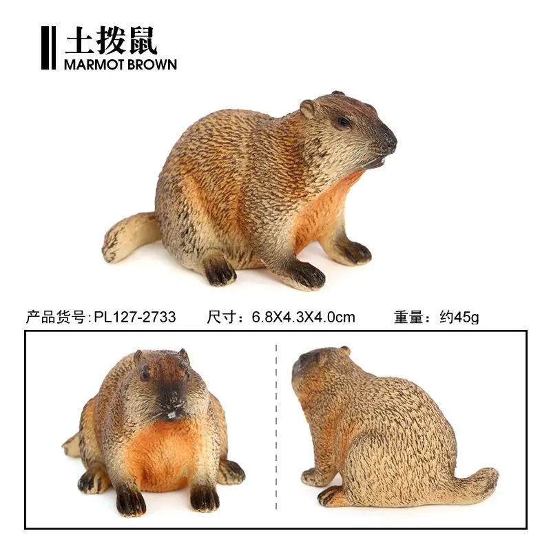 Simulasi lintas batas model plastik satwa liar padat groundhog marmot tupai ornamen mainan kognitif anak-anak