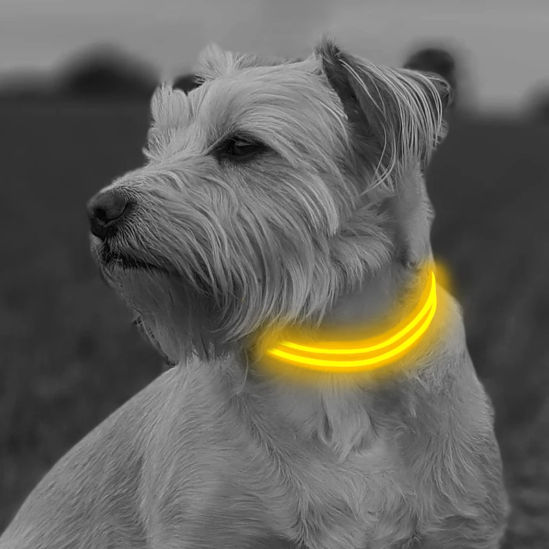 USB rechargeable weatherproof led pet dog collar safety light up puppy collar small MOQ accepts customization