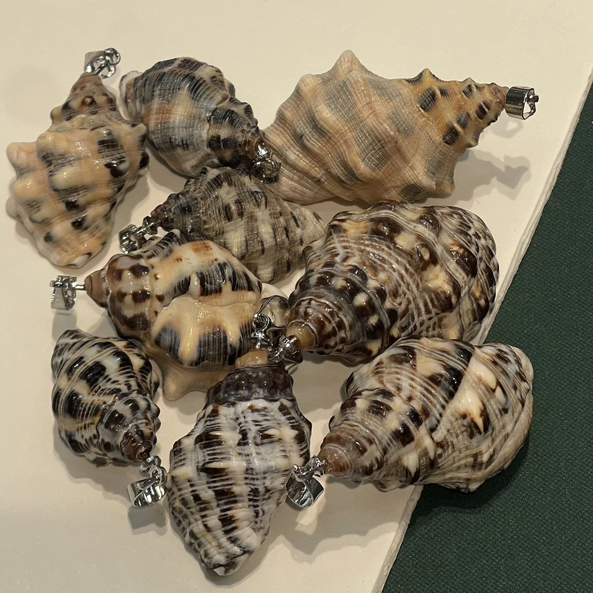10pcs Natural Freshwater Shell Charms Exquisite Snails Shell Conch Pendants for Jewelry Making DIY Necklace Accessories Ornament