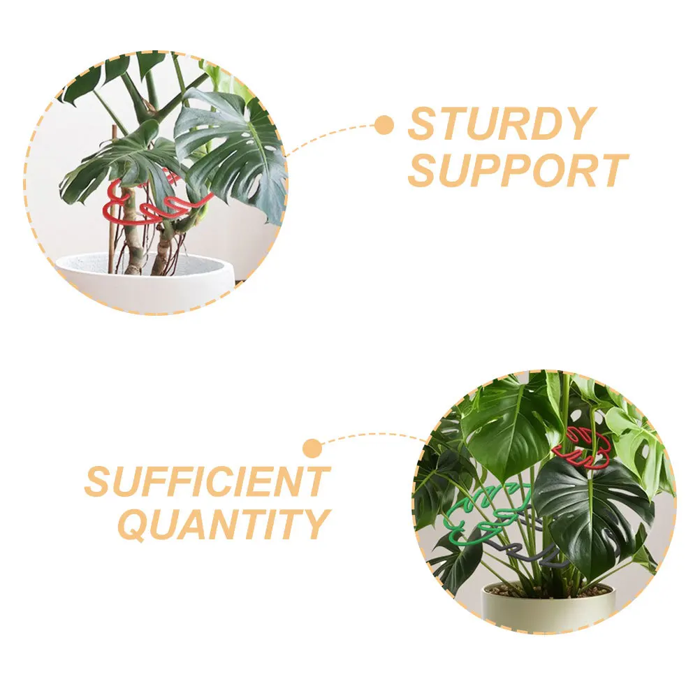 3 مجموعات من نبات Monstera يدعم أوتاد نباتات بلاستيكية متينة لدعامة جذع النباتات المنزلية الداخلية والخارجية #6
