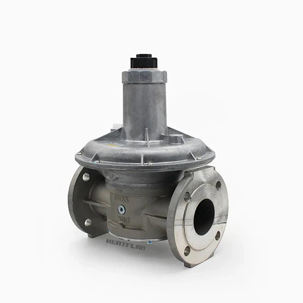 

Gas Pressure Reducing Valves Gas Pressure Regulators FRS5065