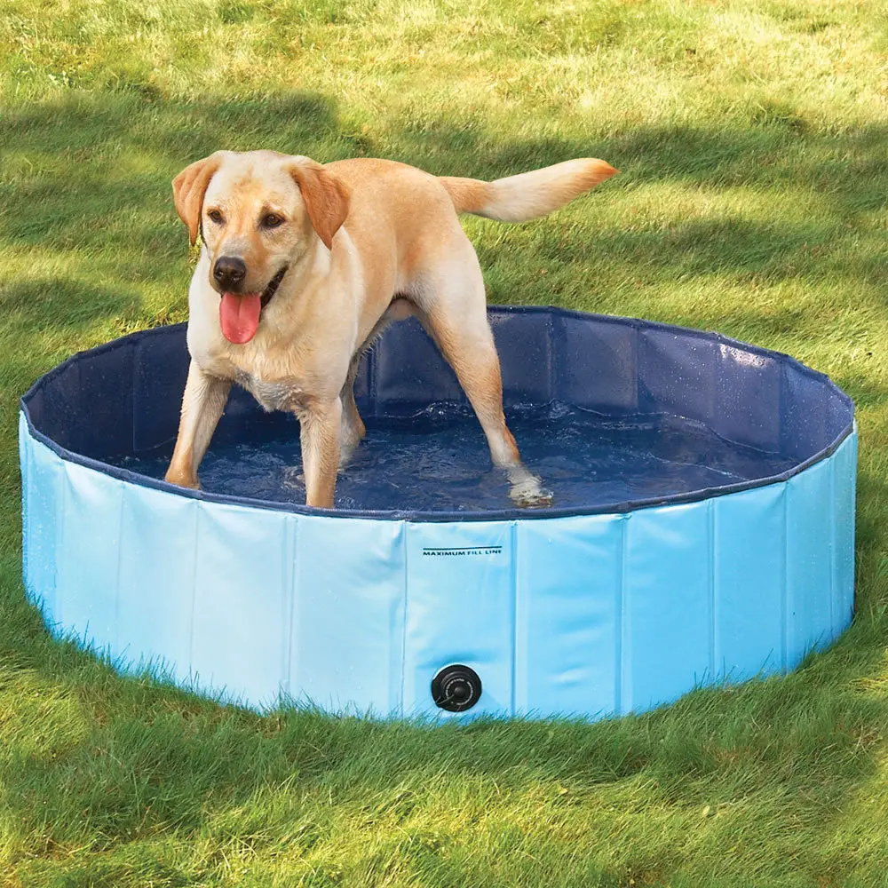 Piscina Plegable para Mascotas y Bañera para Perros, Bañera Grande para Golden Retriever, Gatos y Cachorros