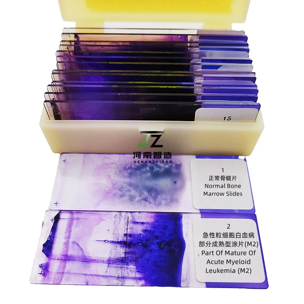 Educational School Equipment 15Pcs/Set Hematology Blood Smear Prepared Slides