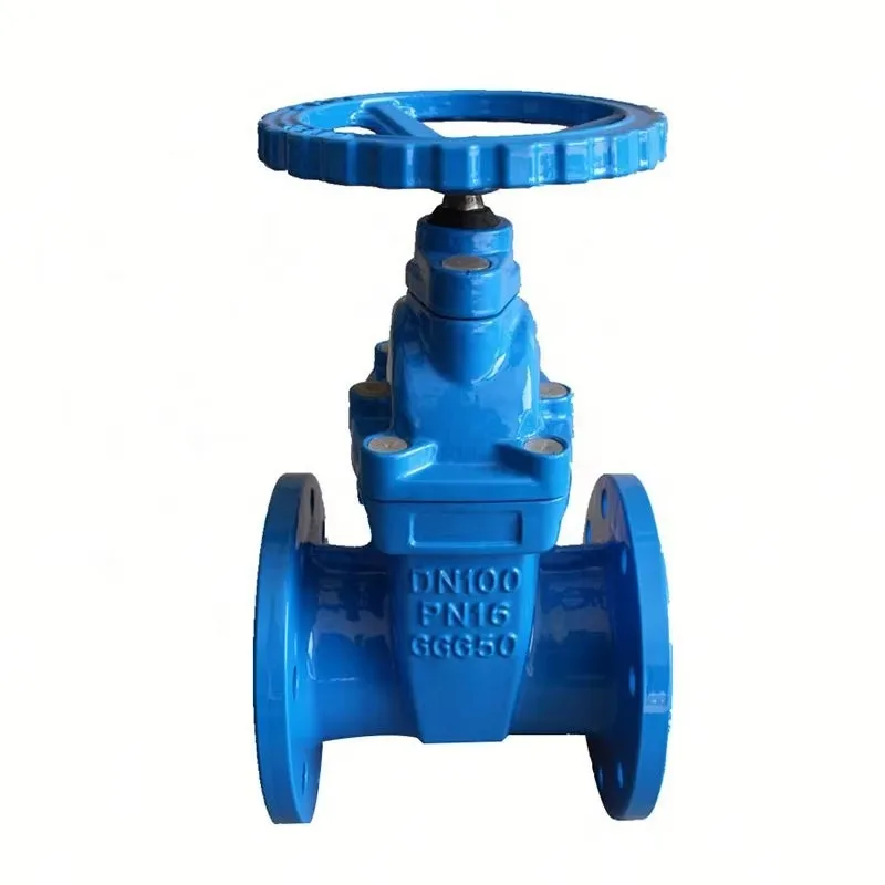 GGG50 FLG Ductile Cast Iron Resilient Wedge Gate Valve