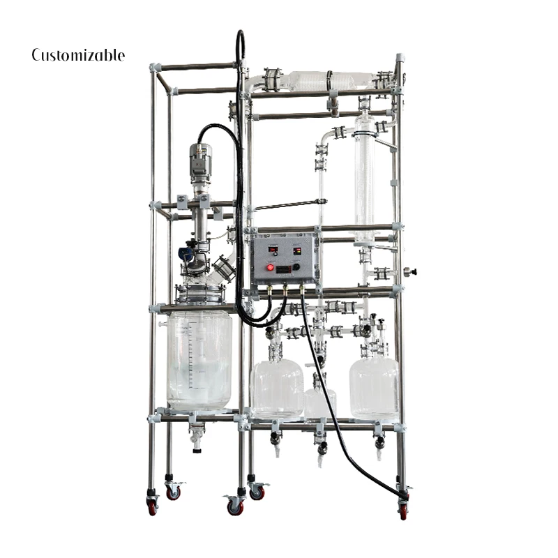 

20252L 5L 10L 20L Jacketed Bioreactor for Bacterial Fermentation Short Path