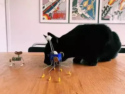 Creative Decompression Clockwork Toys Fun Funny Mechanical Models Children's Design Gifts