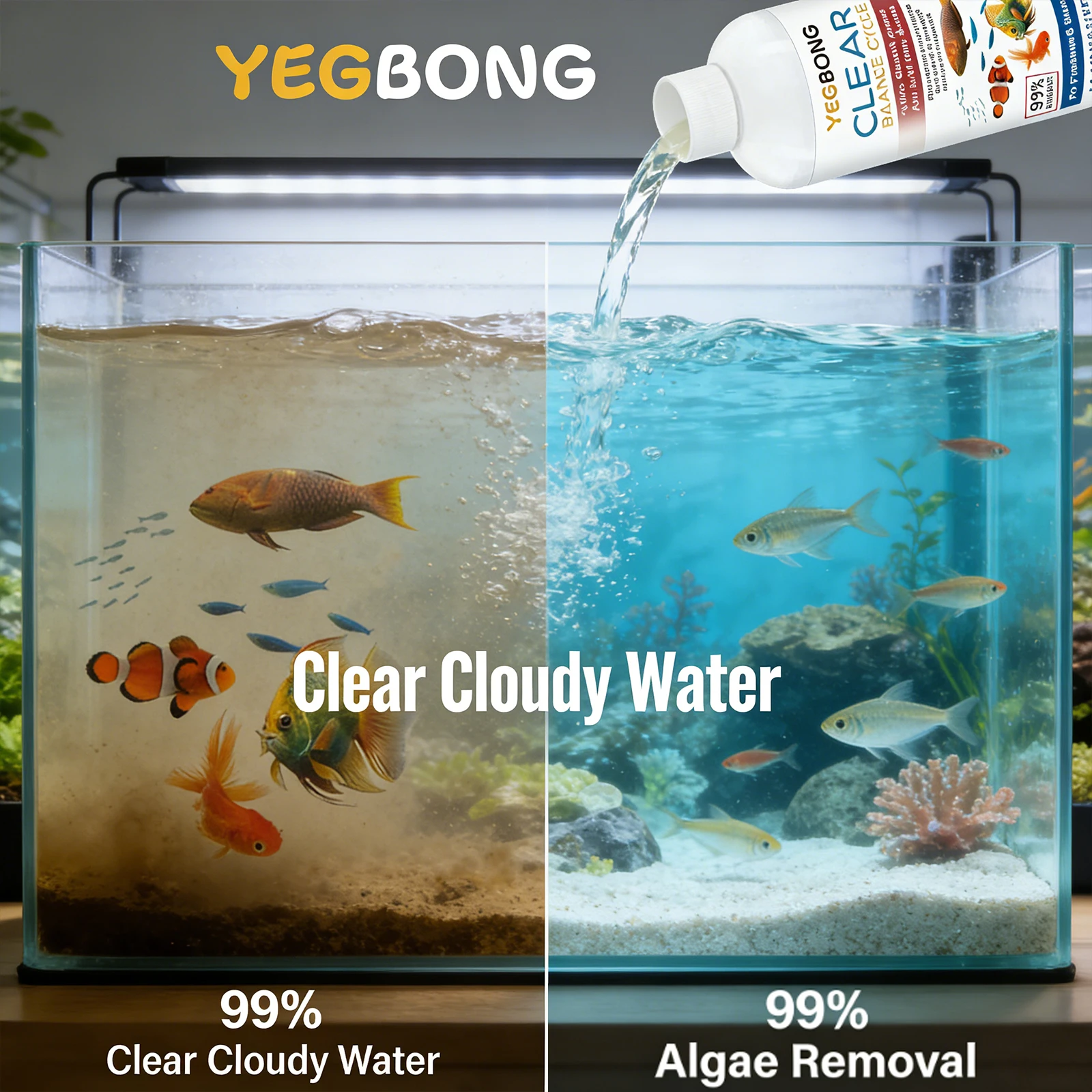 

﻿Fish Tank Water Clarifying Agent Quick Clean Stains and Sludge Control Algae Growth Water Purification Fish Tank Water Cleaner