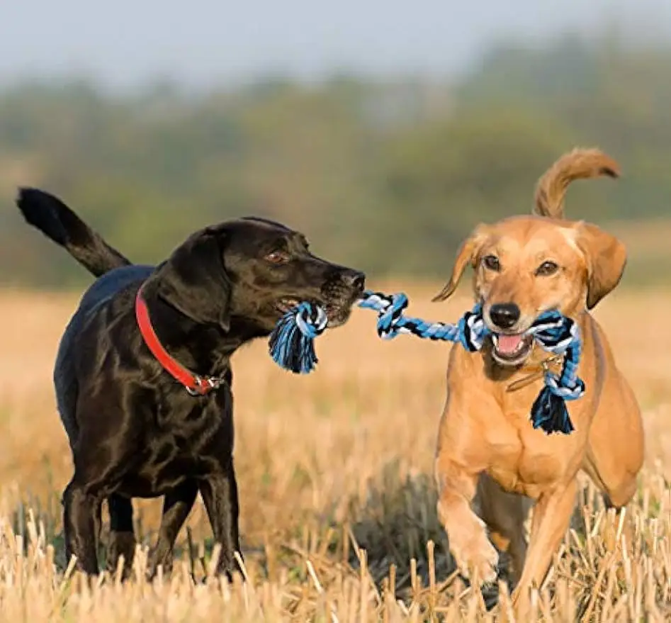 Interactive Dog Toys For Medium Large Dogs Indestructible Giant Rope Pet Chew Toys Safe Puppy Teeth Cleaning Play Game