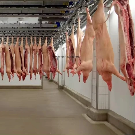 Pig Slaughterhouse Machine Equipment Core Motor Component Slaughter Line and Abattoir for Pigs