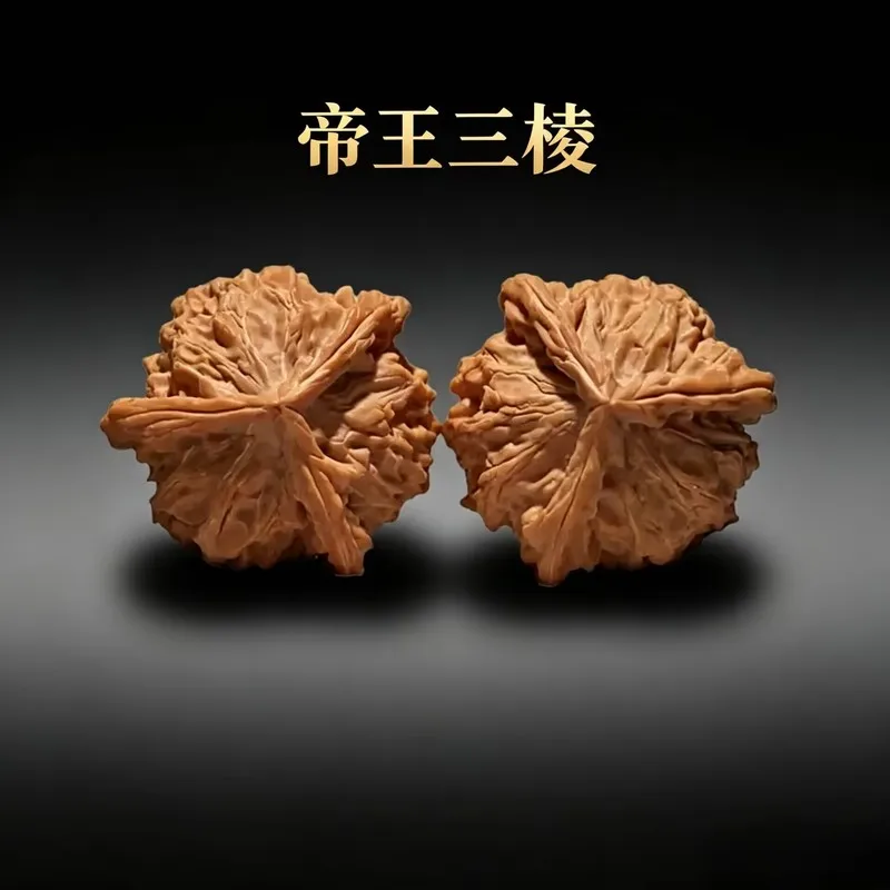 Imperial Triangular Walnut, naturally grown with three distinct ridges, a fine specimen for collectors, featuring a lion's head