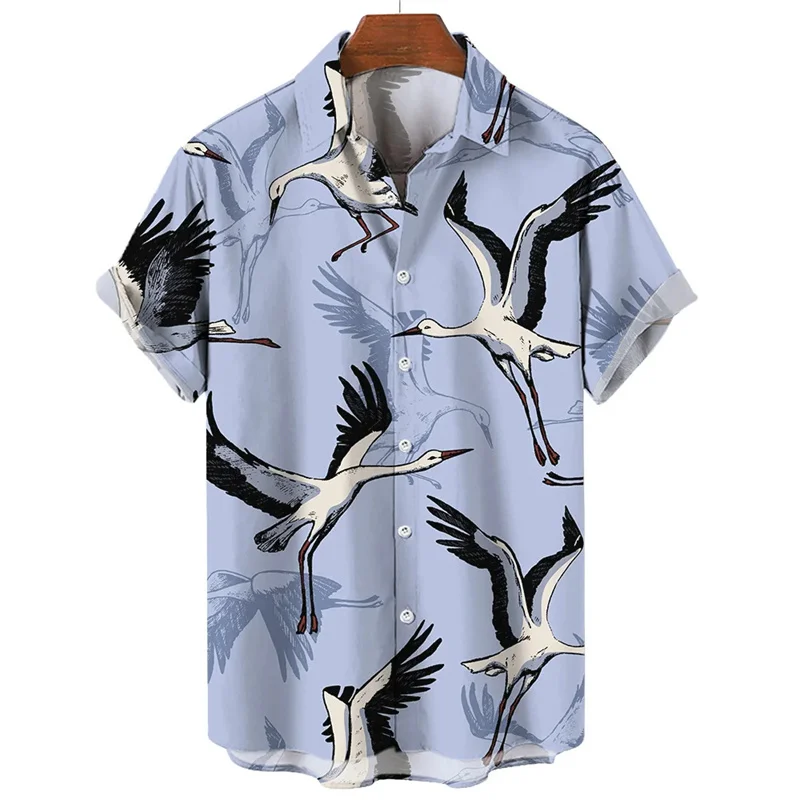 Shirts-ZXA29433