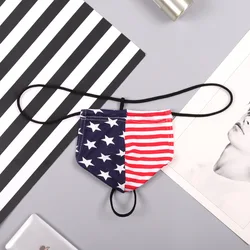 Personality Mens Sexy U Pouch Thongs USA Flag Printed Underwear Male Penis Convex Low Rise G-String Thongs