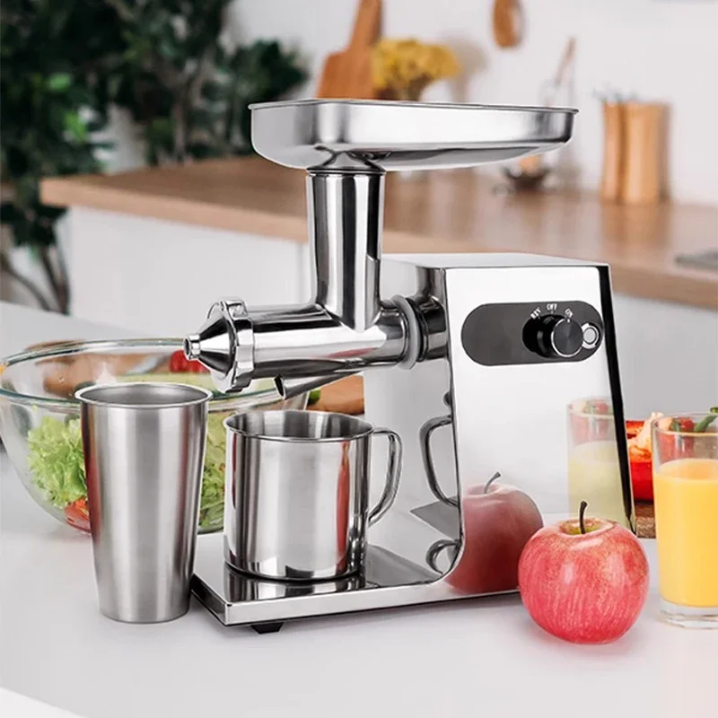 Fruit and Vegetable Low Speed Juice Extractor 200W Slow Masticating Auger Juicer Compact Cold Press Juicer Machine