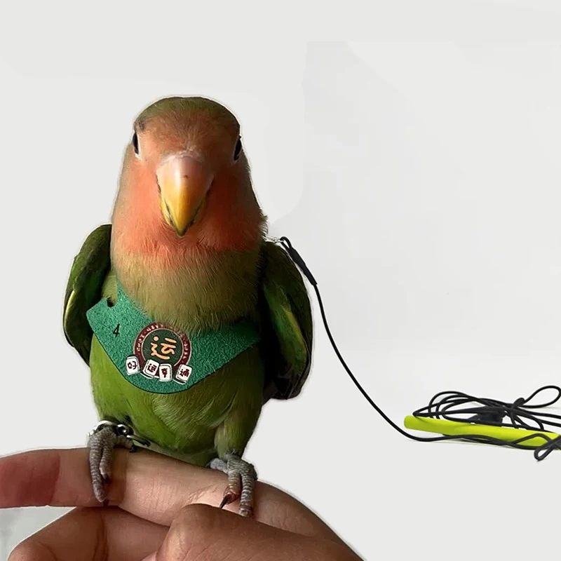 Parrot Harness Leash Flying Anti-bite Traction Rope Straps Peony Parrot Cockatiel Training Outdoor Carrying Adjustable Bird Pet