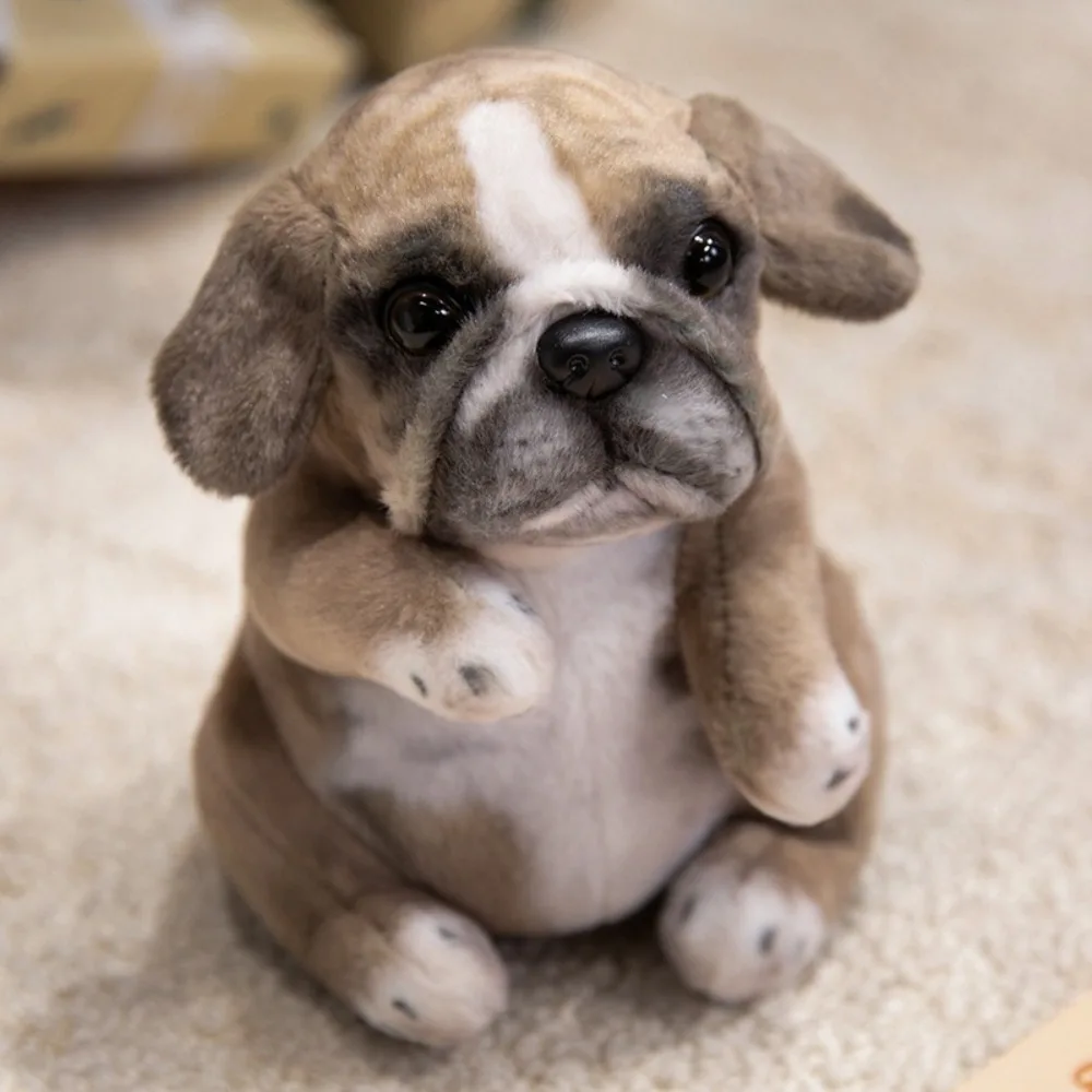 

Realistic Simulation Pug Poodle Puppy Room Decor Children Birthday Gift Fluffy Pet Doggy