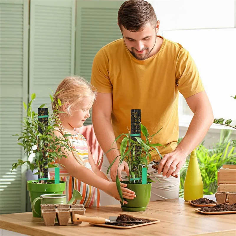 6 Pieces Moss Stick Plant Stake Indoor Plants Coconut, Plant Stake, Moss Pole, Climbing Aid-AT64