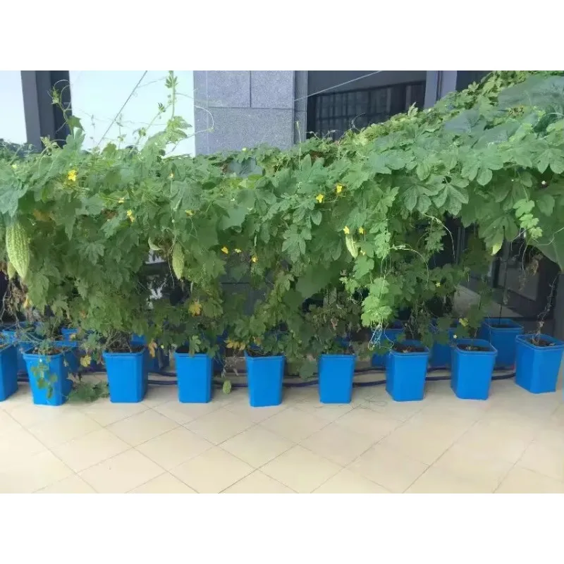 2025년 농업용 심층수경재배 버킷 수경재배 버킷