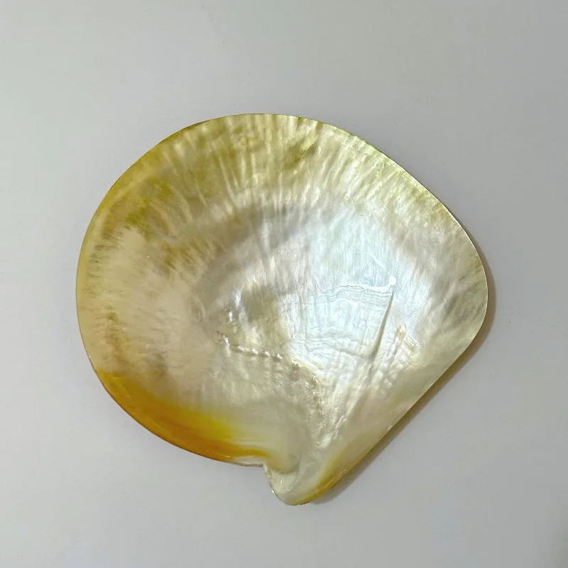 Natural Yellow Butterfly Shell Tray, Caviar Server & Lacquer Inlay Plate, DIY Jewelry Dish, Decorative Ornament for Home