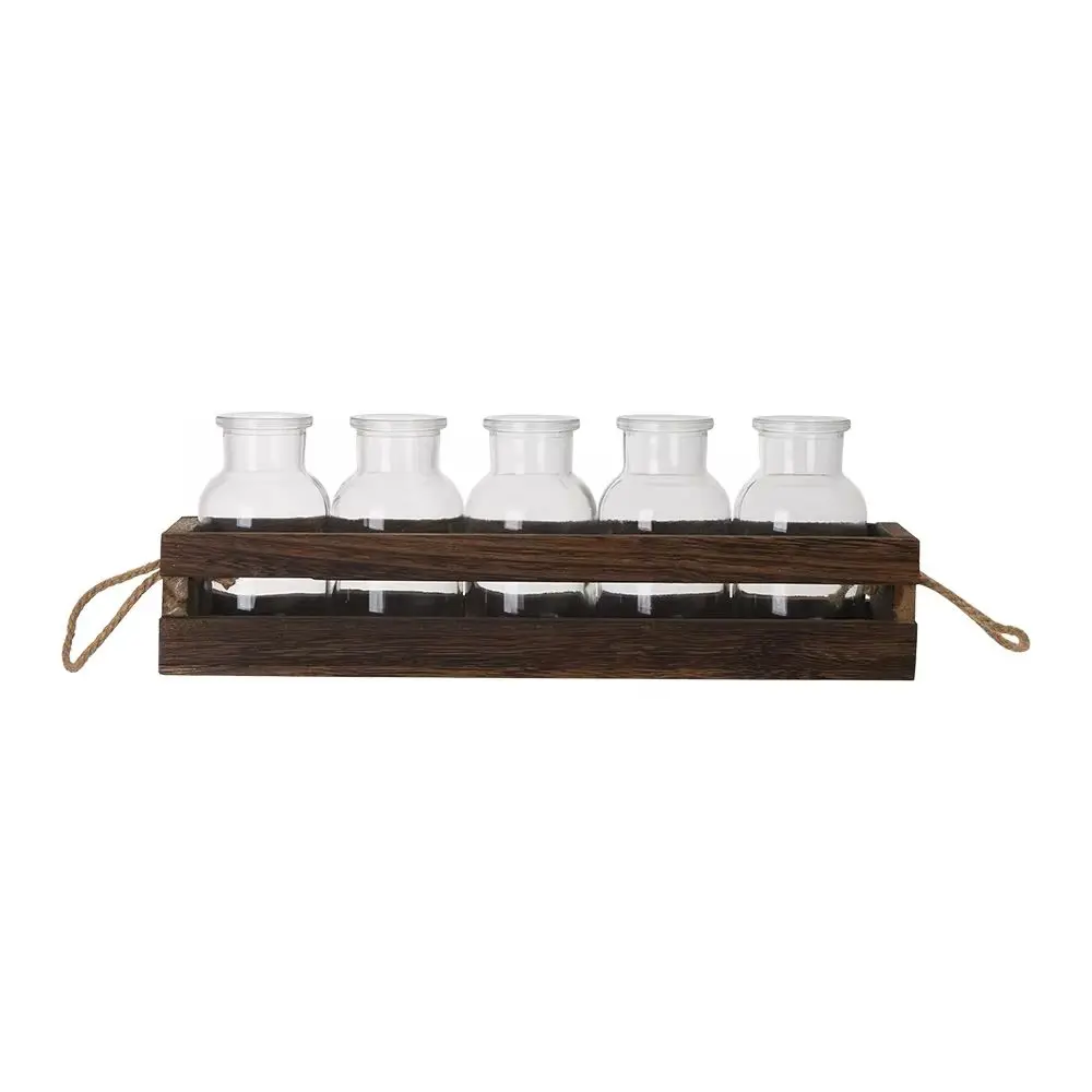 5Pcs Glass Planter with Wooden Holder for Propagating Hydroponic