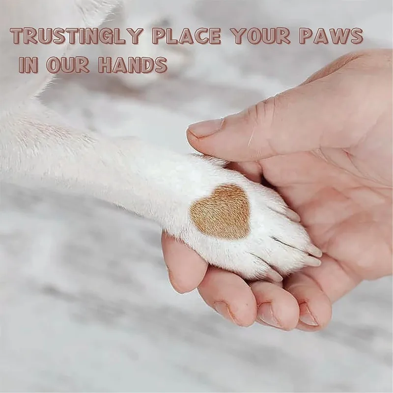 Dog Nail File, Nail File For Dogs, Scratch Square For Dogs Stress Free Nail File，Dog grinding paw tool Safe not hurt the paws