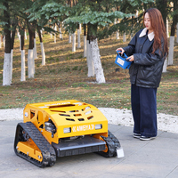 Customized CE/EPA Self Propelled Zero Turn Smart Automatic Remote Control Robotic Lawn Mower