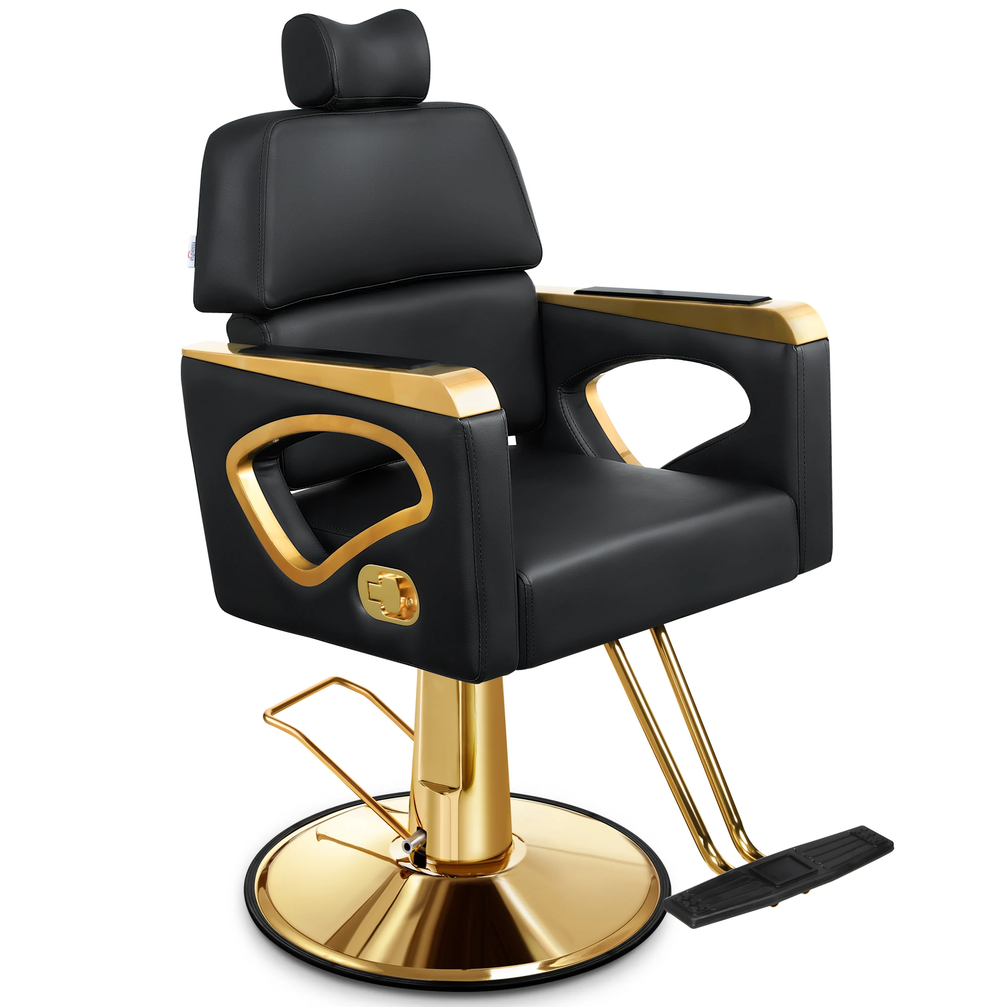 Baasha Reclining Salon Chair with Adjustable Backrest & Lumbar Support, Heavy Duty Barber Chair with Durable Steel Frame