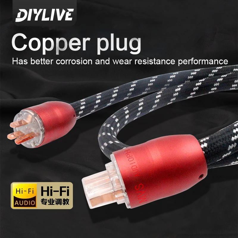 DIYLIVE Imported fever power cord MVS power cord fever grade HIFI imported speaker power upgrade line