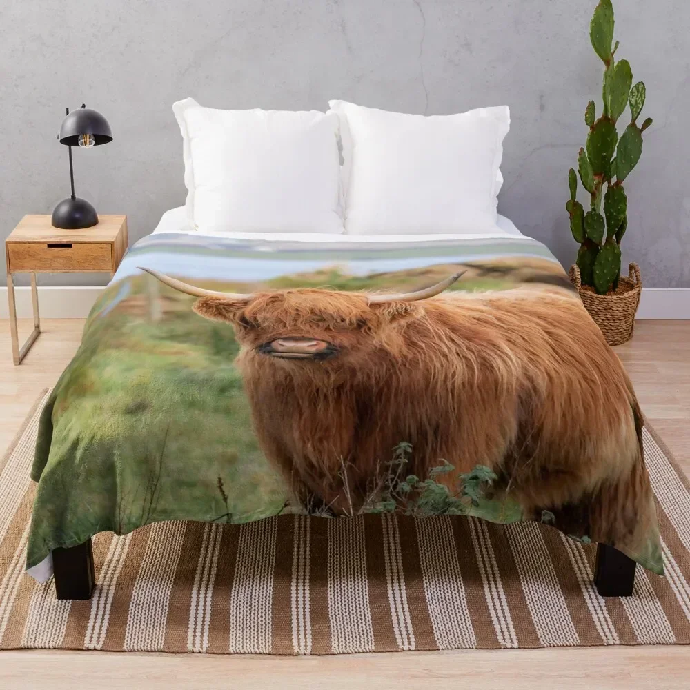 Long haired Highland cattle - Highland cow, Highlander, Heilan coo - Thurso, The Highlands, Scotland Throw Blanket Nap Blankets