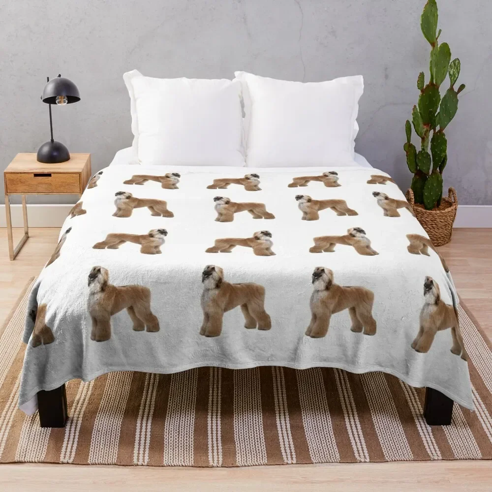 Afghan Hound Throw Blanket Thin Soft Plush Plaid Blankets For Bed Blankets