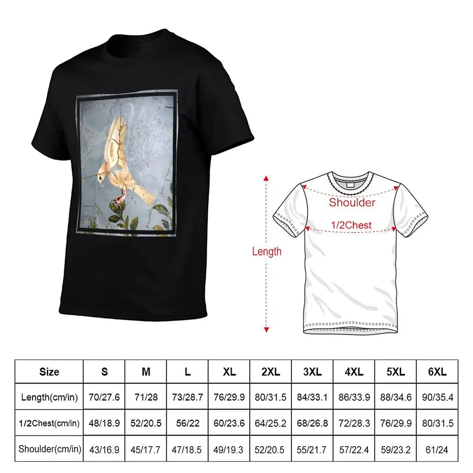 Pompeiian White Dove T-Shirt anime clothes vintage graphic tee mens cotton t shirts