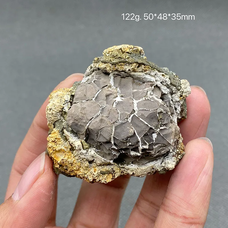 100% natural rare Septarium stone pyrite symbiotic rough stone mineral specimen crystal gem collection