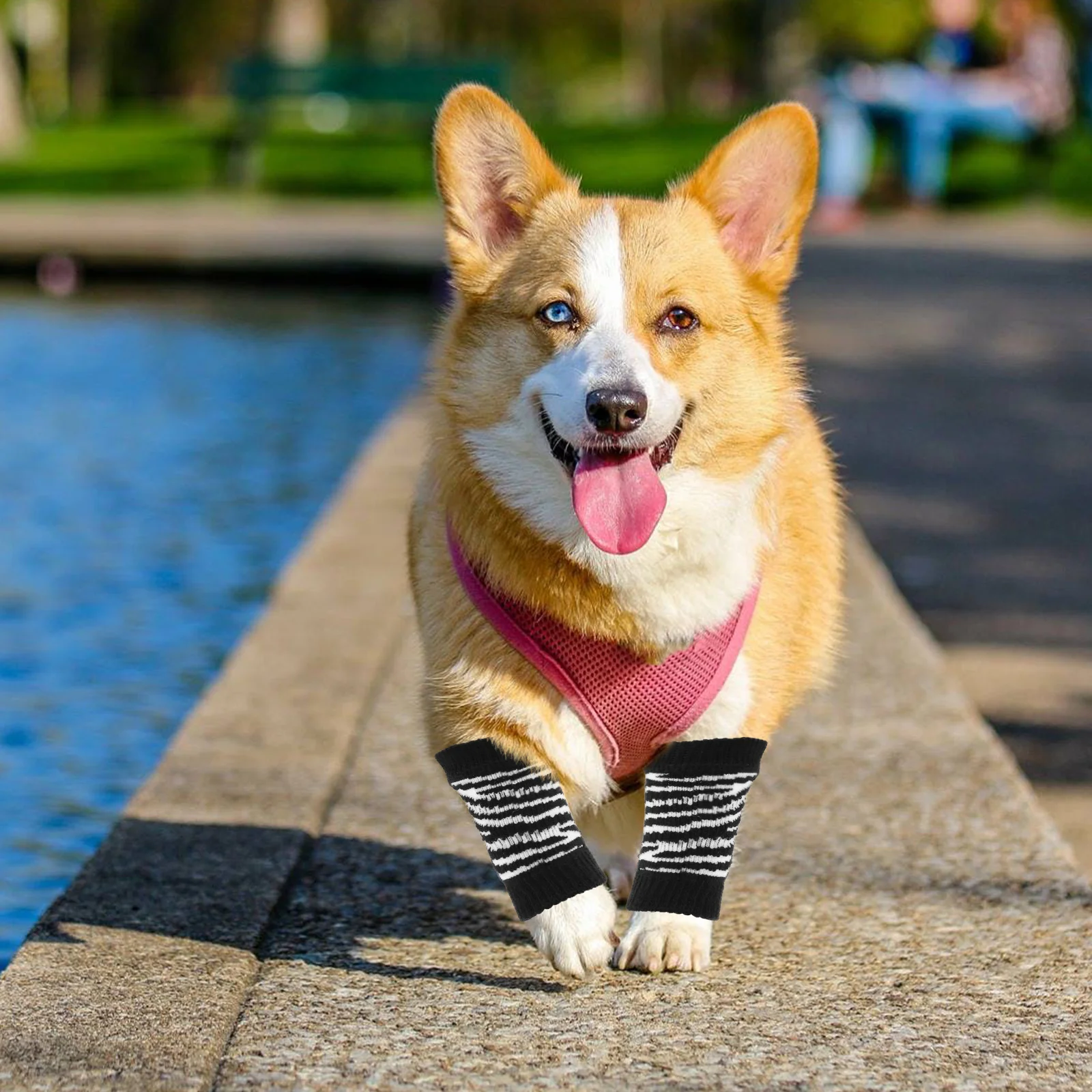 

1 set 1 Set Pet Warmers For Dogs Winter Use Cotton Socks Reusable Dog Leg Protectors Washable Small Dog Socks Puppy Accessories