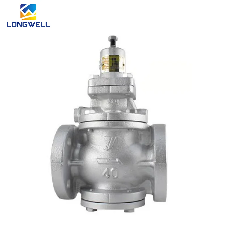 High Quality Japan YOSHITAKE GP-1000 series  Pressure Reducing Valves for EPS Foam Machine