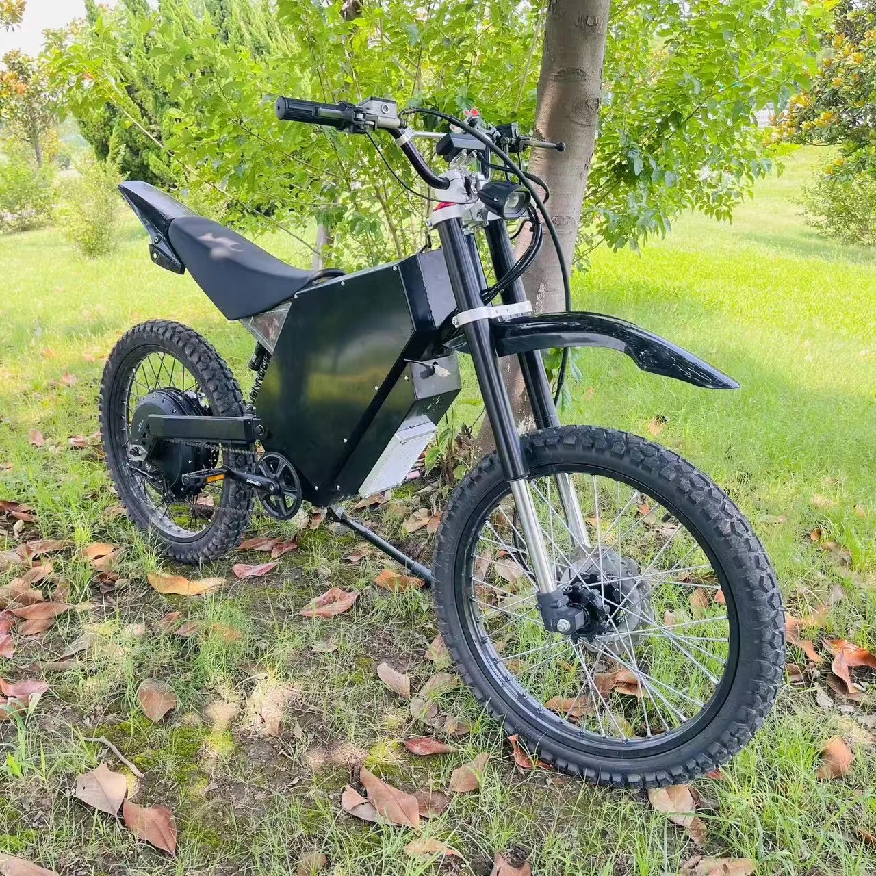 2025 Newest 3000W 5000W Stealth Bomber Electric Bike 8000W 12000W 15000W Off-Road Bicycle