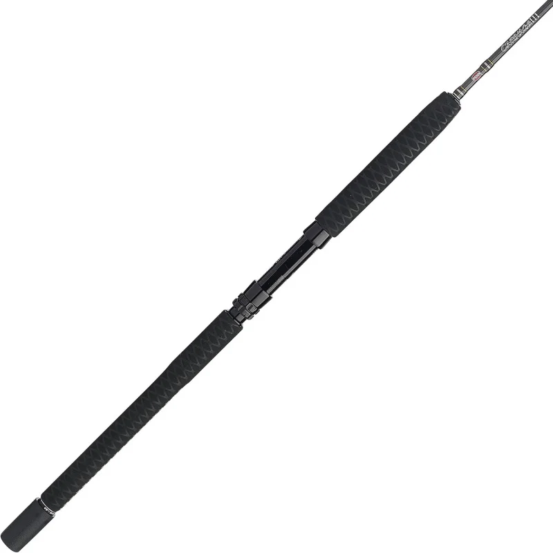 QPENN II &Carnage III Spinning Fishing Rod