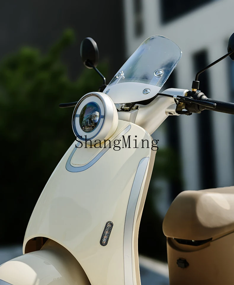 CL 新しい電動バイク男性と女性のバッテリー車長いバッテリー寿命電動バイクは高価値を獲得することができます