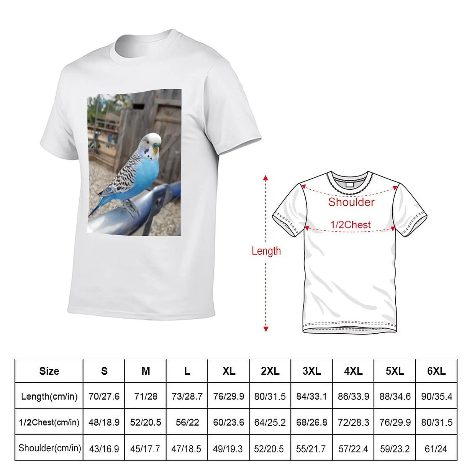 Blue & White Parakeet Sitting T-Shirt boys animal print sweat t shirts for men