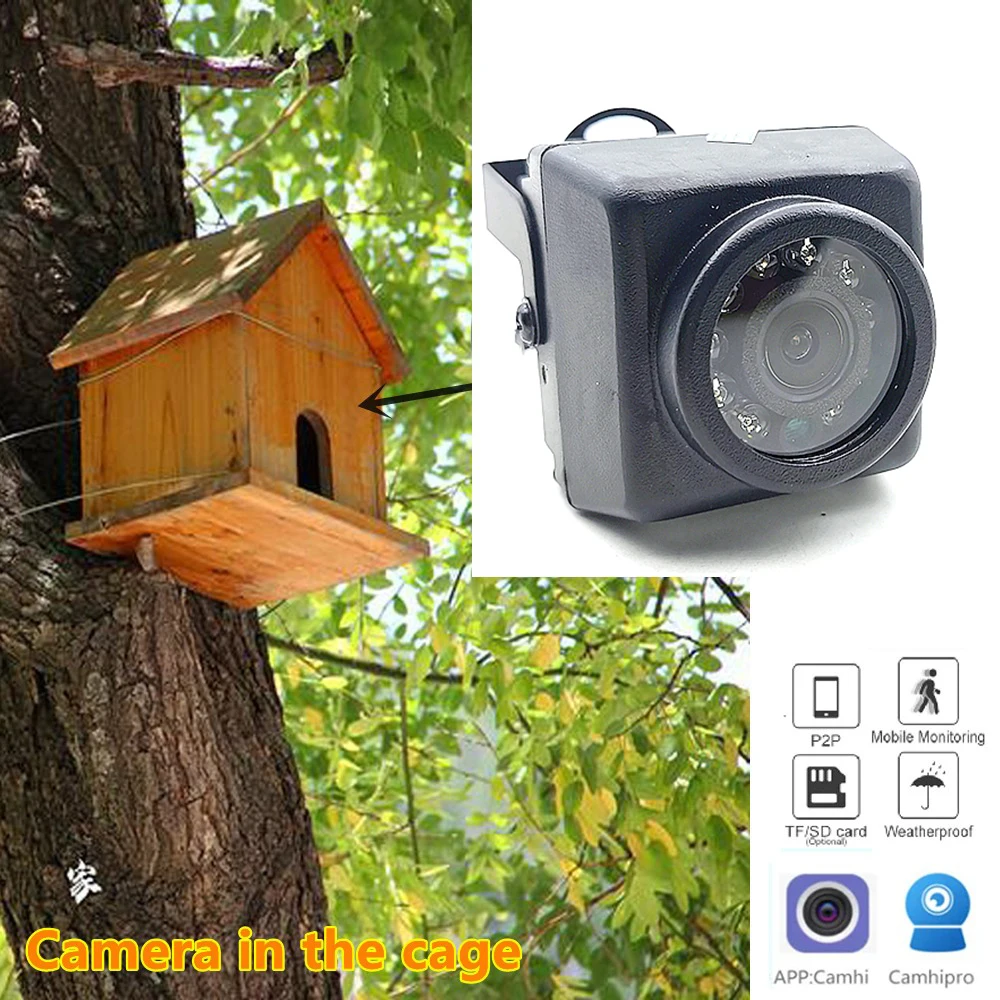 Small Outdoor Mini IR IP POE Night Vision IPC Wide Angle Audio Video Security Camera Surveillance P2P Onvif BirdCage Nest Cam