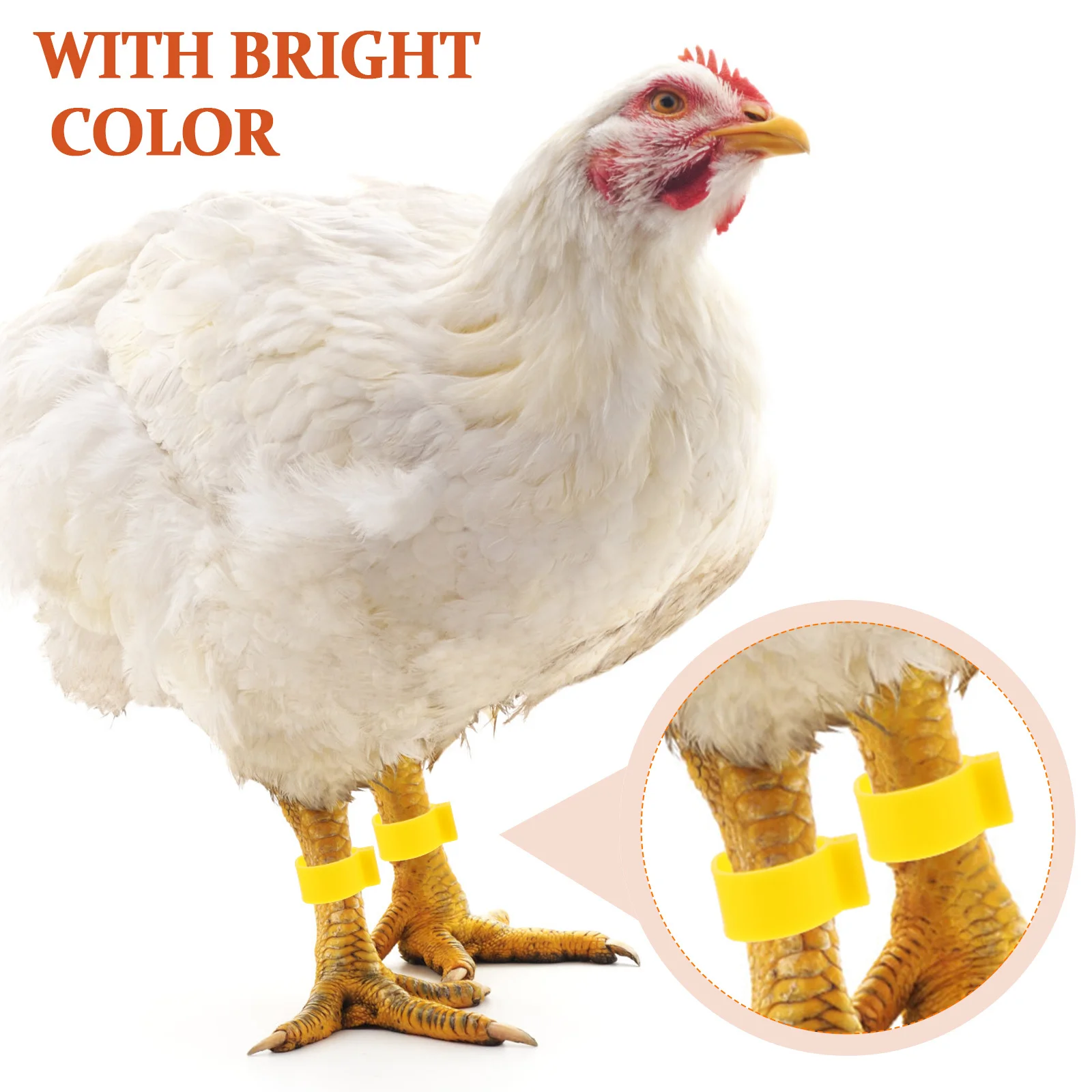 100 Stück Hühnerbeinbänder, leicht, langlebig, verstellbare Beinringe zur Identifizierung von Geflügeln, Gamefowl Chick Supplies